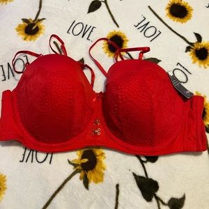 Lane Bryant Bra 42DD